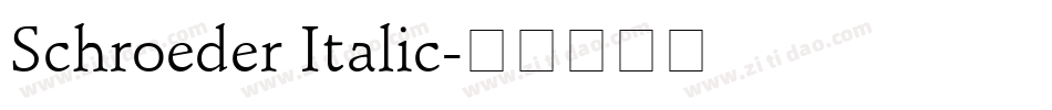 Schroeder Italic字体转换